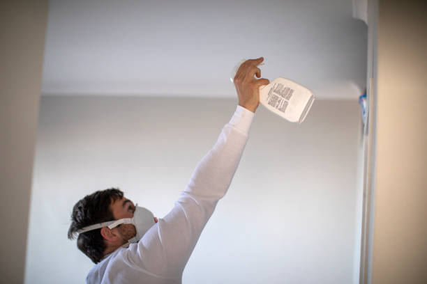 Trusted Otis Orchards East Farms, WA Mold Removal Experts